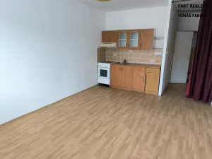 Pronájem bytu 1+kk, Děčín, Želenická, 25 m2
