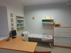 Pronájem komerční, Velká Bystřice, ČSA, 80 m2