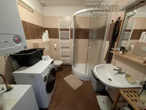 Pronájem bytu 1+kk, Mníšek pod Brdy, Skalecká, 53 m2