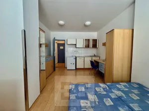 Pronájem bytu 1+kk, Brno, Cejl, 22 m2