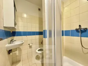 Pronájem bytu 1+kk, Brno, Cejl, 22 m2