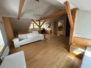 Pronájem rodinného domu, Písek, V Lukách, 400 m2