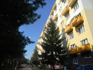 Pronájem bytu 1+kk, Brno, Vídeňská, 27 m2