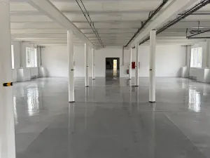 Pronájem skladu, Ostrov, 370 m2