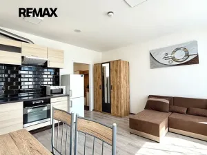 Pronájem bytu 1+kk, Praha - Vinohrady, Perucká, 25 m2