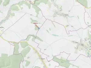 Dražba lesa, Přemyslovice, 7049 m2