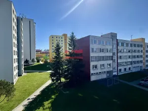 Prodej bytu 3+1, Veselí nad Lužnicí, Blatské sídliště, 78 m2