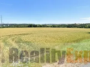 Pronájem výrobních prostor, Soutice, 804 m2