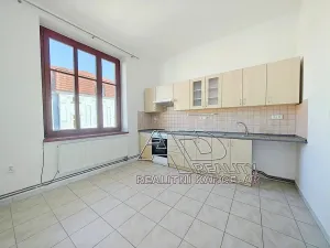 Pronájem bytu 2+1, České Budějovice, L. B. Schneidera, 54 m2