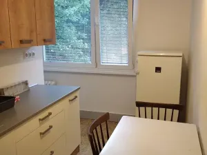 Pronájem bytu 3+1, Pardubice, Bělehradská, 60 m2