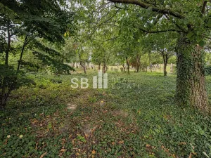 Prodej rodinného domu, Loštice, Vejmoly, 150 m2