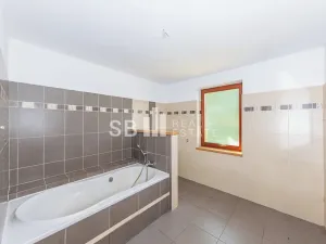Prodej rodinného domu, Borová, 230 m2