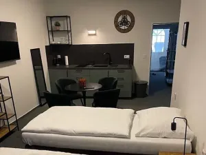 Prodej ubytování, Brno, Hrázní, 1487 m2