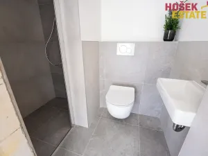 Prodej rodinného domu, Holubice, 197 m2