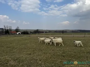 Prodej vícegeneračního domu, Luboměř, 160 m2