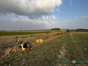 Prodej vícegeneračního domu, Luboměř, 160 m2