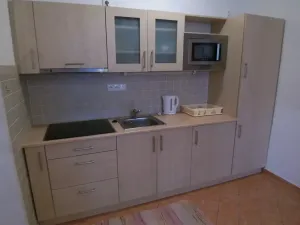 Pronájem bytu 2+kk, Praha - Dejvice, Thákurova, 32 m2
