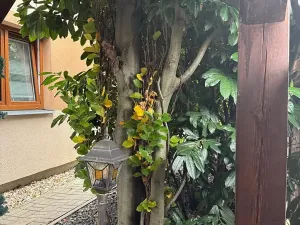 Prodej rodinného domu, Praha - Řeporyje, 166 m2