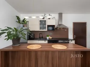 Prodej bytu 1+kk, České Budějovice, Husova tř., 36 m2