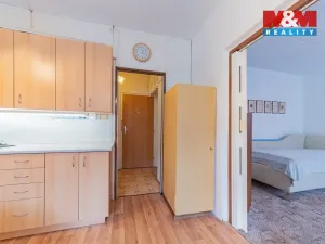 Prodej bytu 1+1, Cheb, Palackého, 36 m2