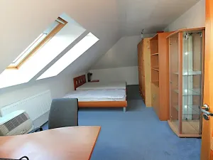 Pronájem rodinného domu, Psáry, Pod Skalkou, 300 m2