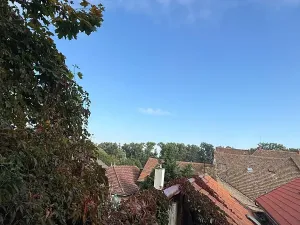 Prodej rodinného domu, Roudnice nad Labem, Havlíčkova, 103 m2