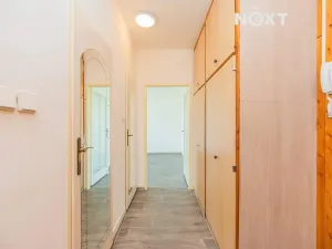 Pronájem bytu 1+1, Postřelmov, Nová, 32 m2