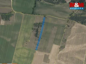 Prodej lesa, Veletov, 5891 m2