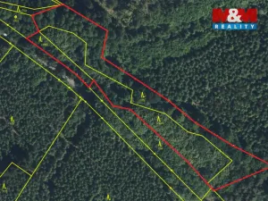 Prodej lesa, Košťálov - Kundratice, 11072 m2