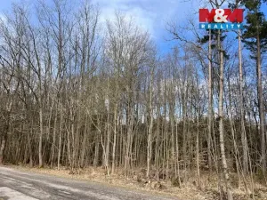 Prodej lesa, Košťálov - Kundratice, 11072 m2