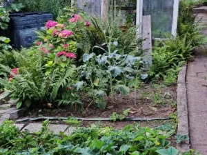 Prodej chaty, Praha, Na Balkáně, 21 m2