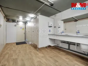Pronájem kanceláře, Nymburk, Maršála Koněva, 12 m2