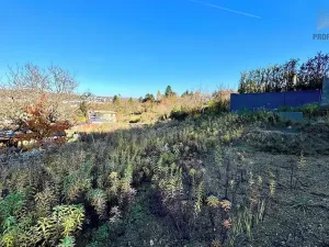 Prodej pozemku pro bydlení, Brno, Kopretinová, 1163 m2