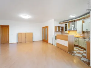 Prodej bytu 4+kk, Brno, Mojžíšova, 171 m2