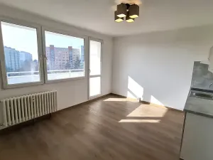 Pronájem bytu 1+kk, Plzeň, Sokolovská, 30 m2