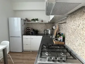 Prodej bytu 1+1, Ostrava, Opavská, 35 m2