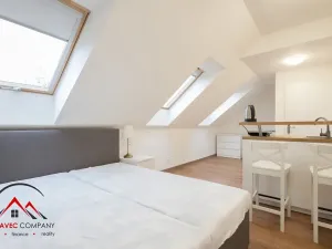 Pronájem apartmánu, Ostrava, Cihelní, 27 m2