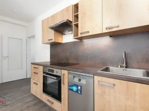 Pronájem bytu 1+kk, Ostrava, Palackého, 30 m2