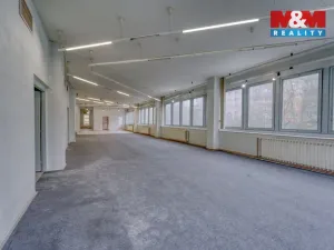 Pronájem výrobních prostor, Plzeň - Severní Předměstí, alej Svobody, 641 m2