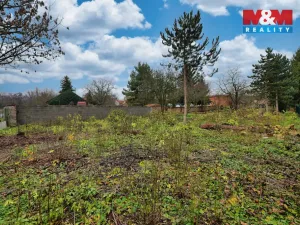 Prodej pozemku pro bydlení, Bedihošť, 980 m2