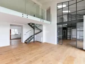 Pronájem bytu 5+kk, Praha - Bubeneč, Mlýnská, 235 m2