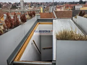 Pronájem bytu 1+kk, Brno, Údolní, 43 m2