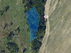 Dražba lesa, Krásné, 2471 m2