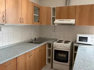 Pronájem bytu 1+kk, Stochov, S. K. Neumanna, 38 m2