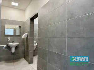 Pronájem kanceláře, Ostrava, Pavlovova, 16 m2