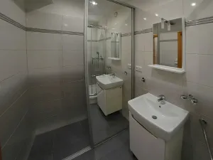 Prodej bytu 2+kk, Plzeň, Bolevecká, 62 m2