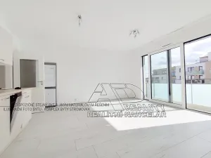 Pronájem bytu 1+kk, České Budějovice, Na Zlaté stoce, 31 m2