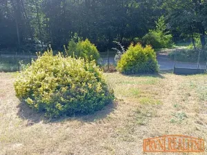 Prodej chaty, Halenkovice, 110 m2