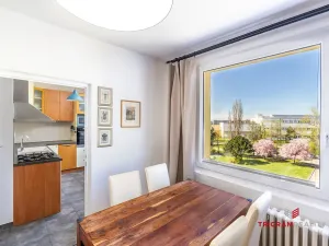 Prodej bytu 2+1, Hradec Králové - Moravské Předměstí, Vysocká, 55 m2