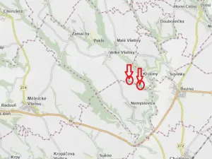 Prodej lesa, Velké Všelisy, 8197 m2